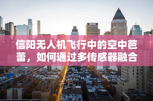 信阳无人机飞行中的空中芭蕾，如何通过多传感器融合提升飞行稳定性？
