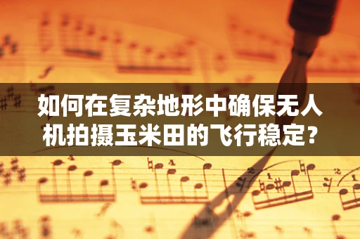 如何在复杂地形中确保无人机拍摄玉米田的飞行稳定？