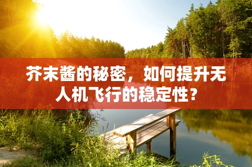 芥末酱的秘密，如何提升无人机飞行的稳定性？