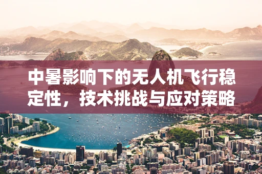 中暑影响下的无人机飞行稳定性，技术挑战与应对策略