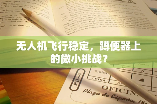 无人机飞行稳定，蹲便器上的微小挑战？
