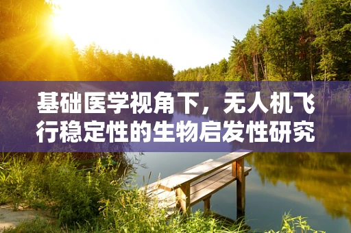基础医学视角下，无人机飞行稳定性的生物启发性研究