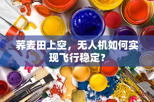 荞麦田上空，无人机如何实现飞行稳定？