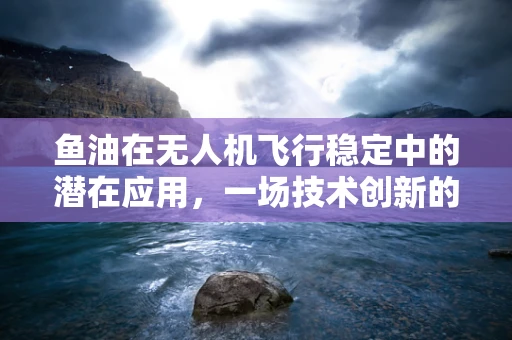 鱼油在无人机飞行稳定中的潜在应用，一场技术创新的探索