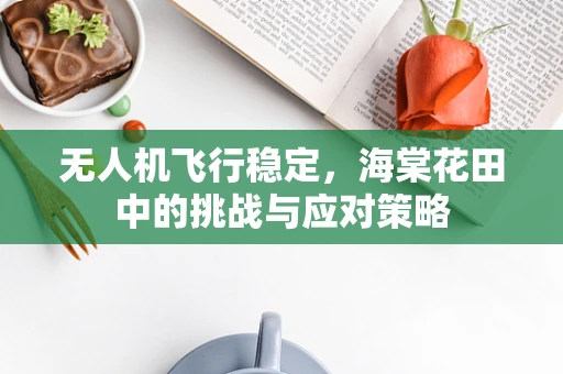 无人机飞行稳定，海棠花田中的挑战与应对策略