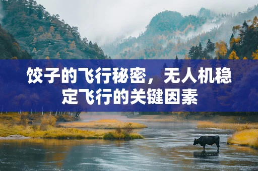 饺子的飞行秘密，无人机稳定飞行的关键因素