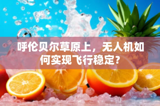 呼伦贝尔草原上，无人机如何实现飞行稳定？