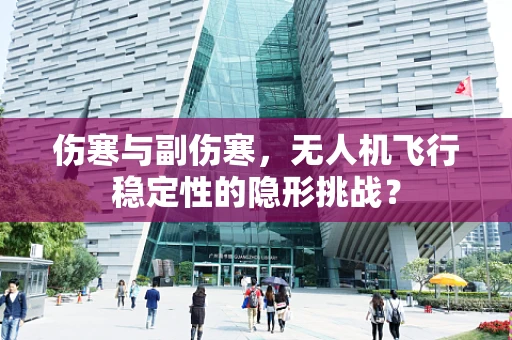 伤寒与副伤寒，无人机飞行稳定性的隐形挑战？