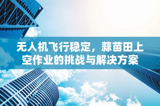 无人机飞行稳定，蒜苗田上空作业的挑战与解决方案