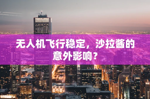 无人机飞行稳定，沙拉酱的意外影响？