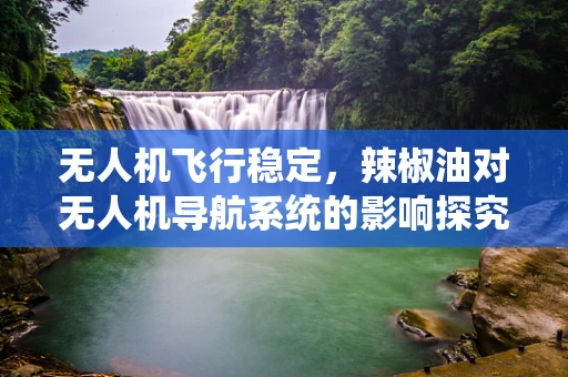 无人机飞行稳定，辣椒油对无人机导航系统的影响探究