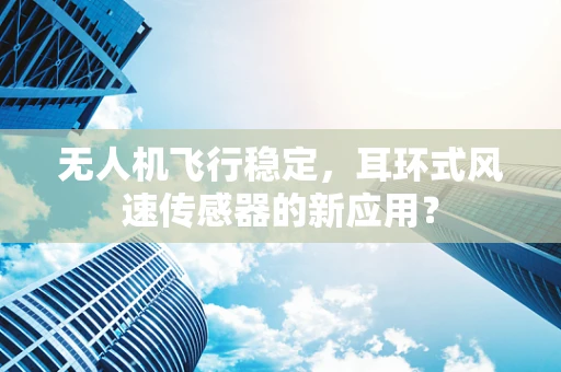 无人机飞行稳定，耳环式风速传感器的新应用？