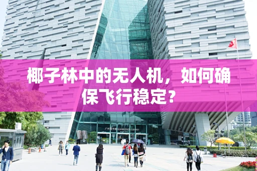 椰子林中的无人机，如何确保飞行稳定？