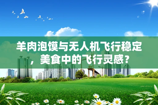 羊肉泡馍与无人机飞行稳定，美食中的飞行灵感？