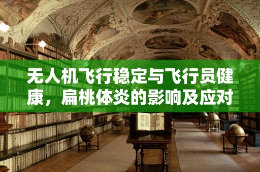无人机飞行稳定与飞行员健康，扁桃体炎的影响及应对策略