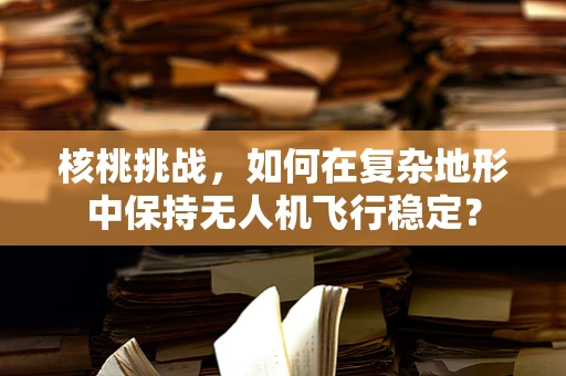 核桃挑战，如何在复杂地形中保持无人机飞行稳定？