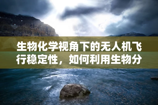 生物化学视角下的无人机飞行稳定性，如何利用生物分子增强无人机抗风性能？