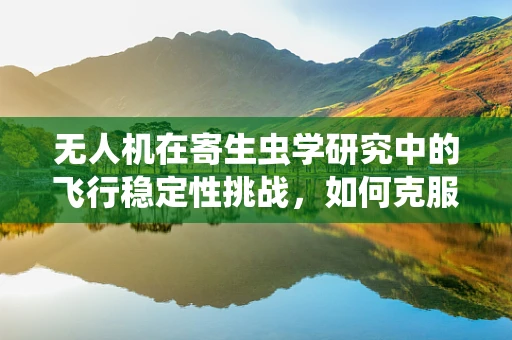 无人机在寄生虫学研究中的飞行稳定性挑战，如何克服？