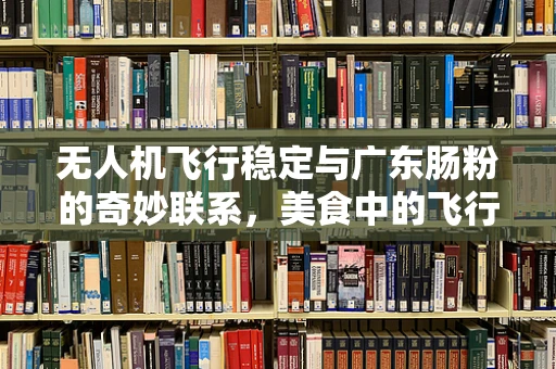 无人机飞行稳定与广东肠粉的奇妙联系，美食中的飞行平衡哲学