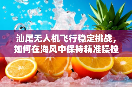 汕尾无人机飞行稳定挑战，如何在海风中保持精准操控？