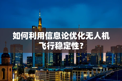 如何利用信息论优化无人机飞行稳定性？