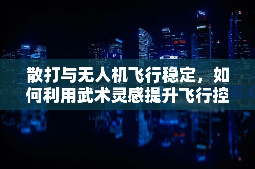 散打与无人机飞行稳定，如何利用武术灵感提升飞行控制？