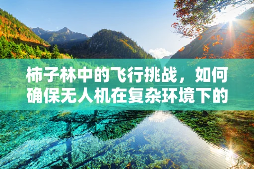 柿子林中的飞行挑战，如何确保无人机在复杂环境下的稳定飞行？