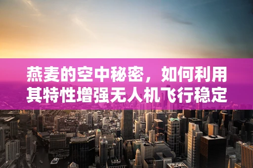 燕麦的空中秘密，如何利用其特性增强无人机飞行稳定性？