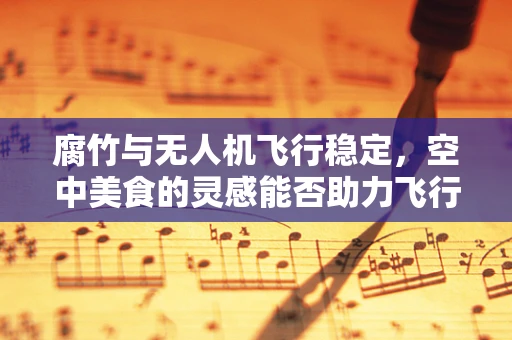 腐竹与无人机飞行稳定，空中美食的灵感能否助力飞行技术？