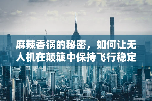 麻辣香锅的秘密，如何让无人机在颠簸中保持飞行稳定？