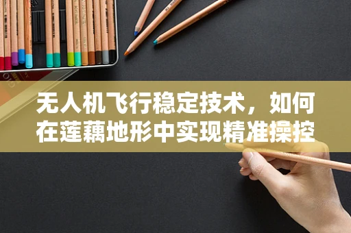 无人机飞行稳定技术，如何在莲藕地形中实现精准操控？