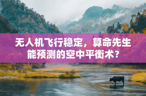 无人机飞行稳定，算命先生能预测的空中平衡术？