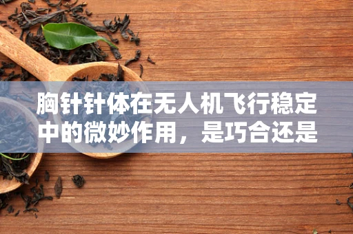 胸针针体在无人机飞行稳定中的微妙作用，是巧合还是技术革新？