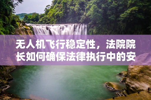 无人机飞行稳定性，法院院长如何确保法律执行中的安全？