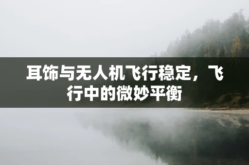耳饰与无人机飞行稳定，飞行中的微妙平衡