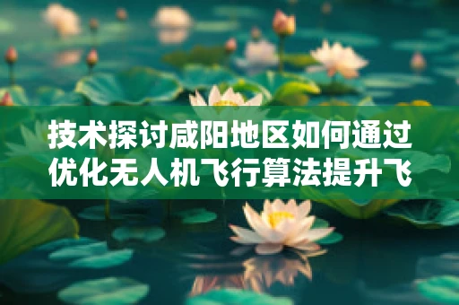 技术探讨咸阳地区如何通过优化无人机飞行算法提升飞行稳定性？