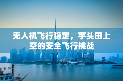 无人机飞行稳定，芋头田上空的安全飞行挑战
