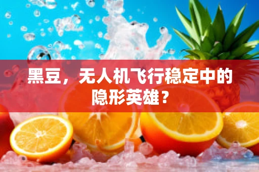 黑豆，无人机飞行稳定中的隐形英雄？