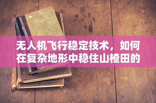 无人机飞行稳定技术，如何在复杂地形中稳住山楂田的视角？
