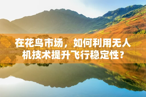 在花鸟市场，如何利用无人机技术提升飞行稳定性？