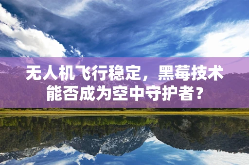 无人机飞行稳定，黑莓技术能否成为空中守护者？