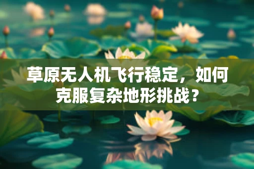 草原无人机飞行稳定，如何克服复杂地形挑战？