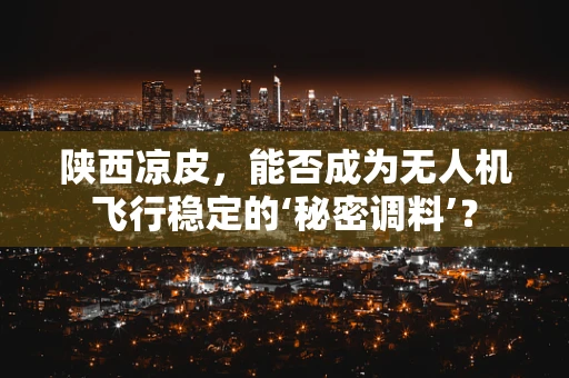 陕西凉皮，能否成为无人机飞行稳定的‘秘密调料’？