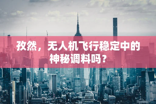 孜然，无人机飞行稳定中的神秘调料吗？