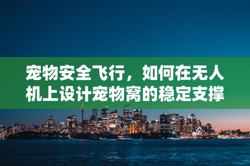 宠物安全飞行，如何在无人机上设计宠物窝的稳定支撑系统？