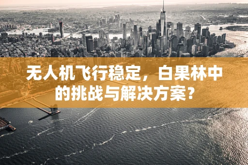 无人机飞行稳定，白果林中的挑战与解决方案？
