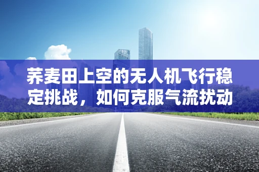 荞麦田上空的无人机飞行稳定挑战，如何克服气流扰动？