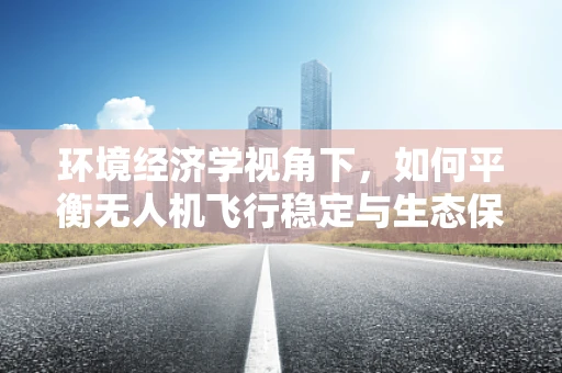 环境经济学视角下，如何平衡无人机飞行稳定与生态保护？