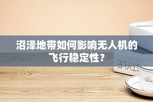 沼泽地带如何影响无人机的飞行稳定性？