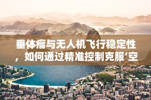 垂体瘤与无人机飞行稳定性，如何通过精准控制克服‘空中迷雾’？